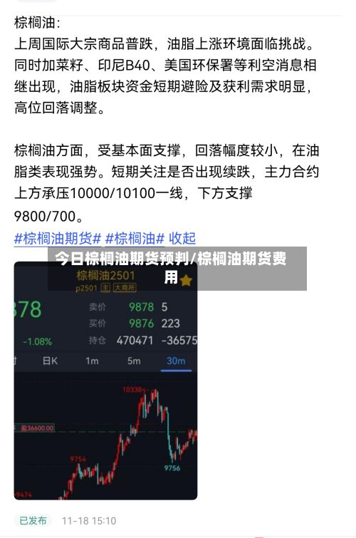今日棕榈油期货预判/棕榈油期货费用