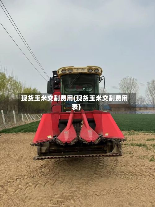 现货玉米交割费用(现货玉米交割费用表)-第2张图片