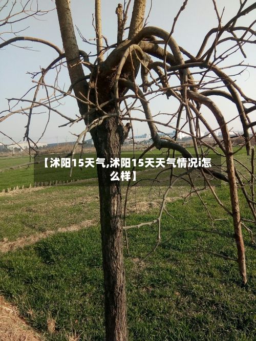 【沭阳15天气,沭阳15天天气情况i怎么样】