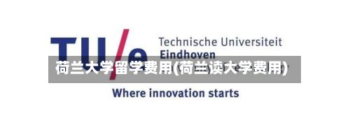 荷兰大学留学费用(荷兰读大学费用)