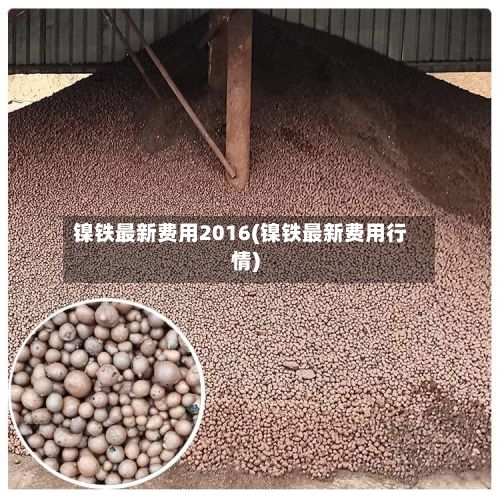 镍铁最新费用2016(镍铁最新费用行情)-第3张图片