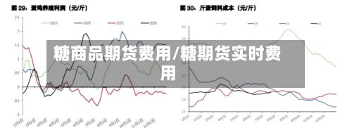 糖商品期货费用/糖期货实时费用