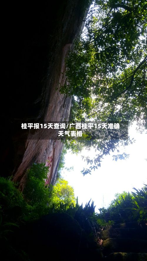 桂平报15天查询/广西桂平15天准确天气表格-第2张图片