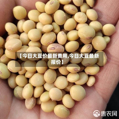【今日大豆价最新费用,今日大豆最新报价】