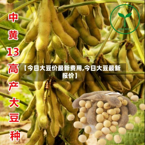 【今日大豆价最新费用,今日大豆最新报价】-第3张图片