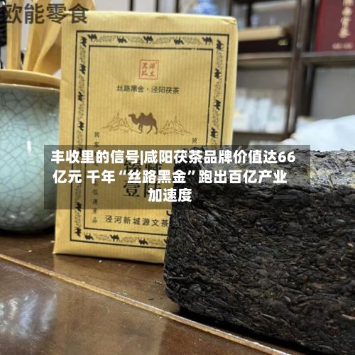 丰收里的信号|咸阳茯茶品牌价值达66亿元 千年“丝路黑金”跑出百亿产业加速度-第2张图片