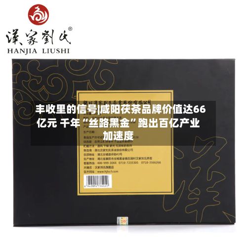 丰收里的信号|咸阳茯茶品牌价值达66亿元 千年“丝路黑金”跑出百亿产业加速度-第3张图片