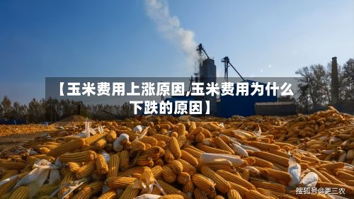 【玉米费用上涨原因,玉米费用为什么下跌的原因】-第3张图片