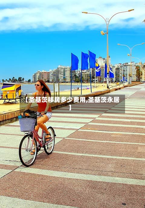 【圣基茨移民多少费用,圣基茨永居】