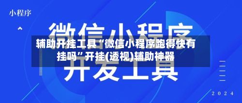 辅助开挂工具“微信小程序跑得快有挂吗	”开挂(透视)辅助神器-第2张图片