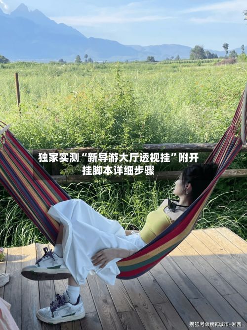独家实测“新导游大厅透视挂”附开挂脚本详细步骤-第2张图片