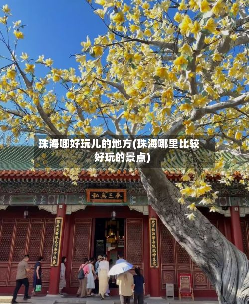 珠海哪好玩儿的地方(珠海哪里比较好玩的景点)-第2张图片
