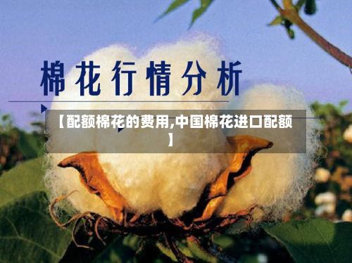 【配额棉花的费用,中国棉花进口配额】