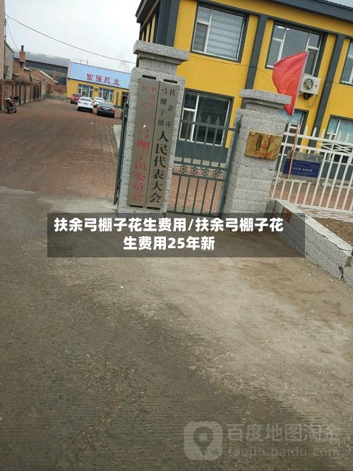 扶余弓棚子花生费用/扶余弓棚子花生费用25年新-第2张图片
