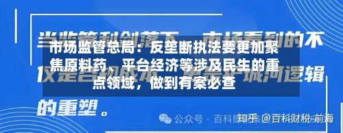 市场监管总局：反垄断执法要更加聚焦原料药、平台经济等涉及民生的重点领域	，做到有案必查-第3张图片