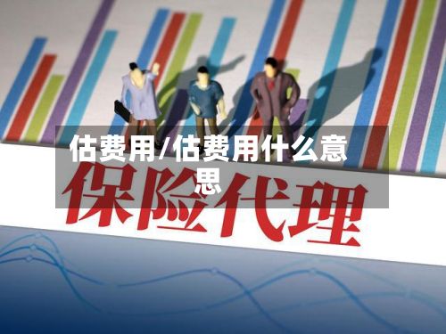 估费用/估费用什么意思-第3张图片
