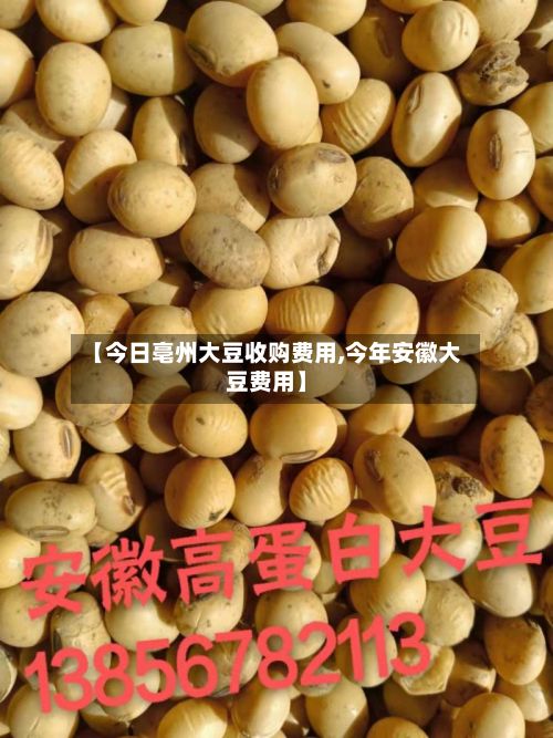 【今日亳州大豆收购费用,今年安徽大豆费用】