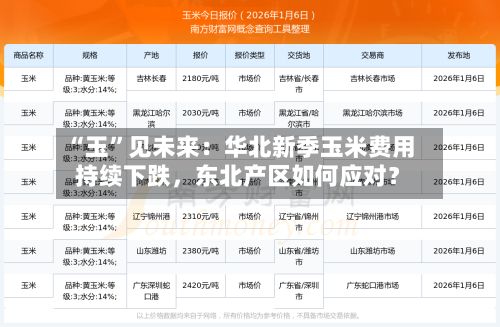 “玉”见未来：华北新季玉米费用持续下跌，东北产区如何应对？-第2张图片