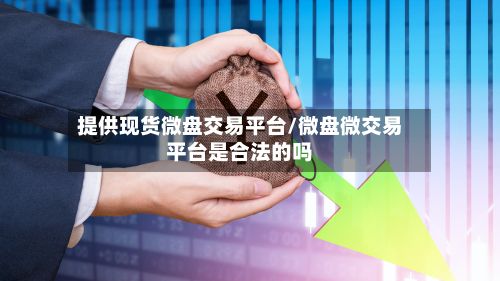 提供现货微盘交易平台/微盘微交易平台是合法的吗-第2张图片