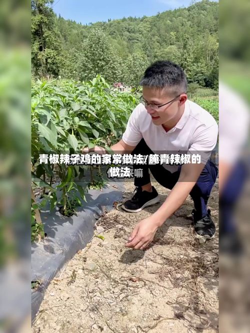 青椒辣子鸡的家常做法/腌青辣椒的做法-第2张图片
