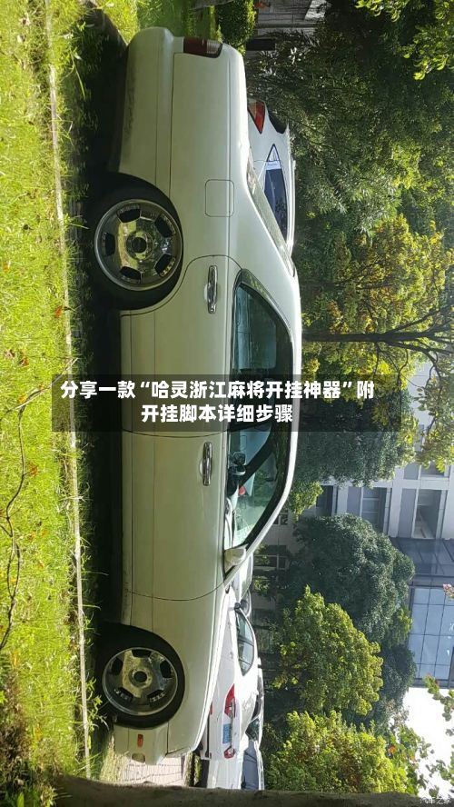 分享一款“哈灵浙江麻将开挂神器	”附开挂脚本详细步骤-第2张图片