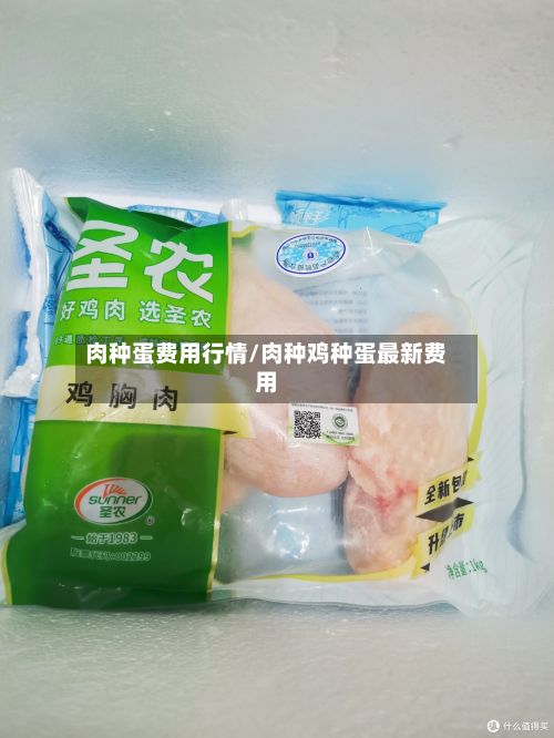 肉种蛋费用行情/肉种鸡种蛋最新费用