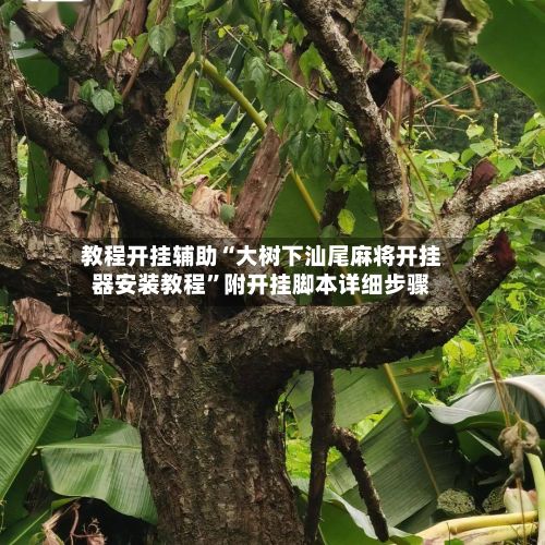 教程开挂辅助“大树下汕尾麻将开挂器安装教程	”附开挂脚本详细步骤-第2张图片