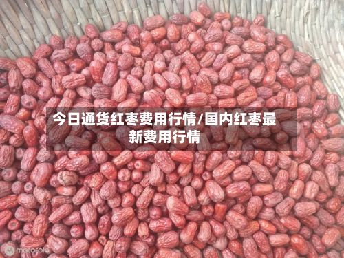 今日通货红枣费用行情/国内红枣最新费用行情-第3张图片