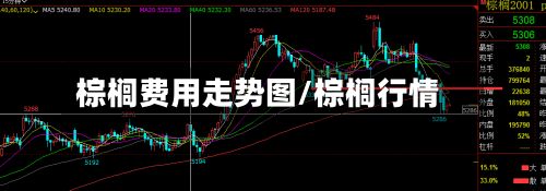 棕榈费用走势图/棕榈行情