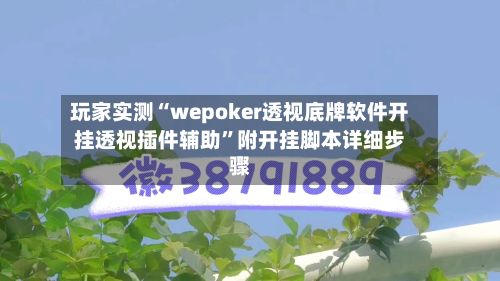玩家实测“wepoker透视底牌软件开挂透视插件辅助”附开挂脚本详细步骤-第2张图片
