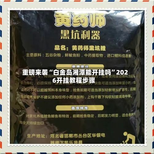 重磅来袭“白金岛湘潭能开挂吗”2026开挂教程步骤-第3张图片
