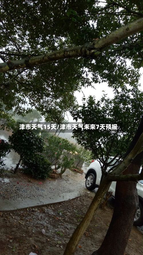 津市天气15天/津市天气未来7天预报