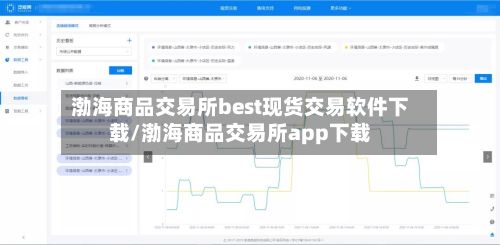 渤海商品交易所best现货交易软件下载/渤海商品交易所app下载-第3张图片