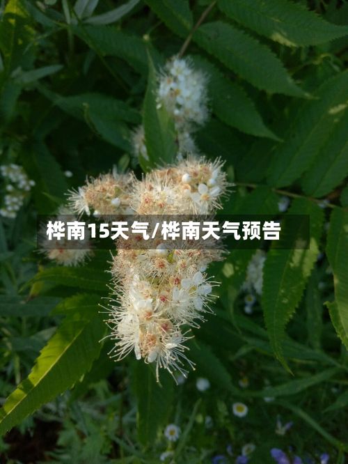 桦南15天气/桦南天气预告-第2张图片