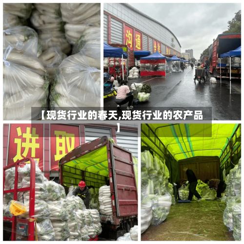 【现货行业的春天,现货行业的农产品】