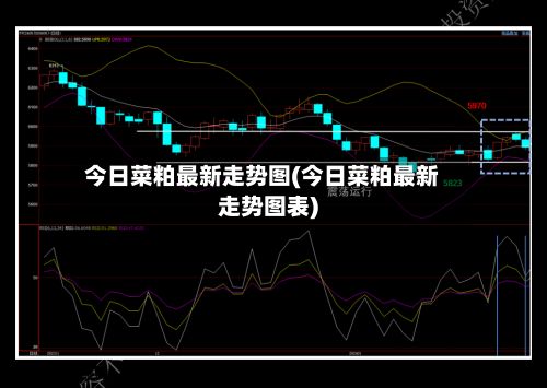 今日菜粕最新走势图(今日菜粕最新走势图表)