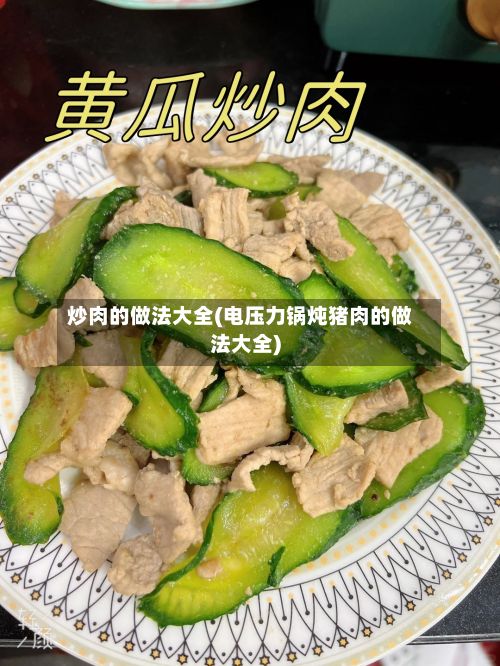 炒肉的做法大全(电压力锅炖猪肉的做法大全)