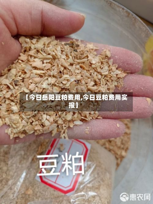 【今日岳阳豆粕费用,今日豆粕费用实报】