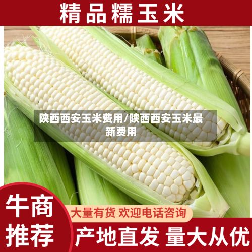 陕西西安玉米费用/陕西西安玉米最新费用