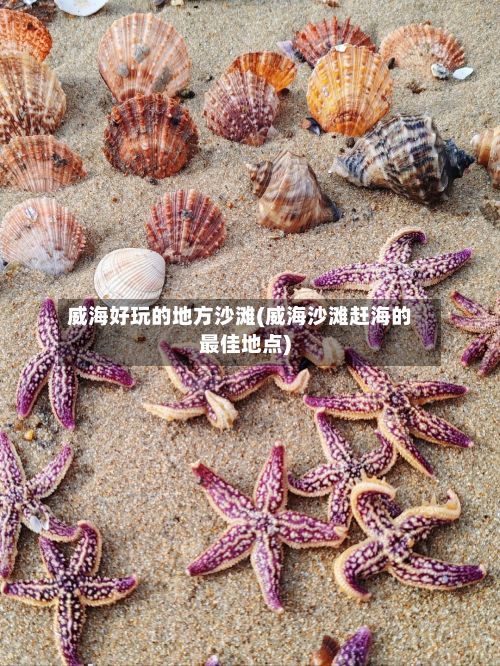 威海好玩的地方沙滩(威海沙滩赶海的最佳地点)