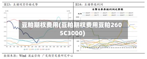 豆粕期权费用(豆粕期权费用豆粕2605C3000)