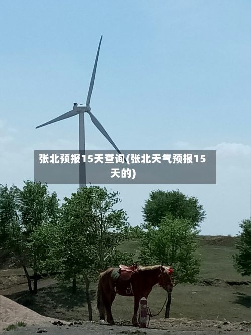 张北预报15天查询(张北天气预报15天的)-第2张图片