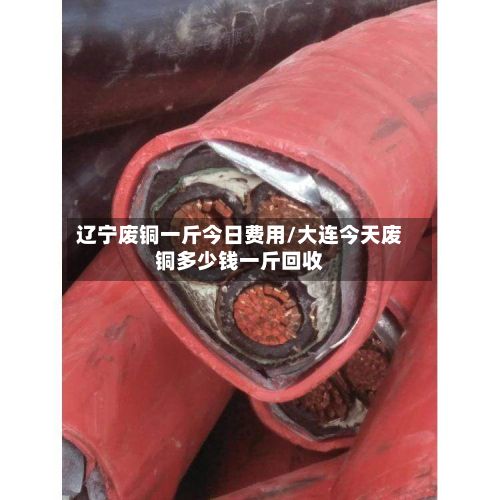 辽宁废铜一斤今日费用/大连今天废铜多少钱一斤回收