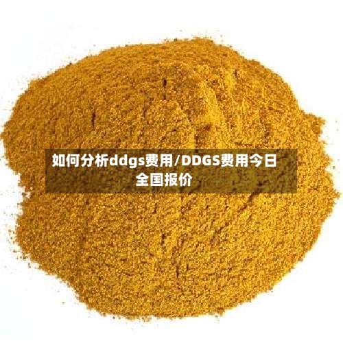 如何分析ddgs费用/DDGS费用今日全国报价-第2张图片