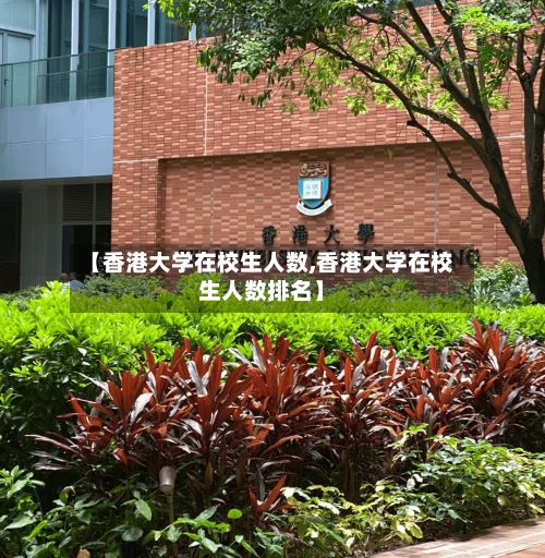【香港大学在校生人数,香港大学在校生人数排名】-第2张图片
