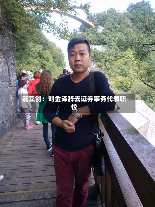 嘉立创：刘金泽辞去证券事务代表职位-第1张图片