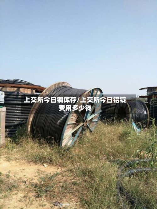上交所今日铜库存/上交所今日铝锭费用多少钱-第2张图片