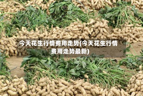 今天花生行情费用走势(今天花生行情费用走势最新)