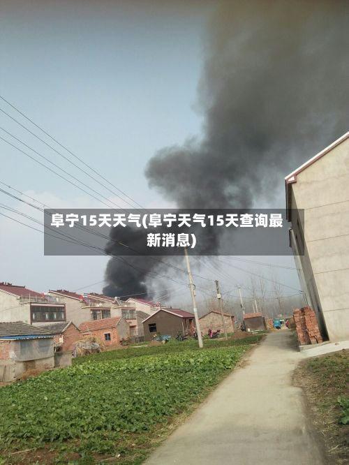 阜宁15天天气(阜宁天气15天查询最新消息)-第3张图片