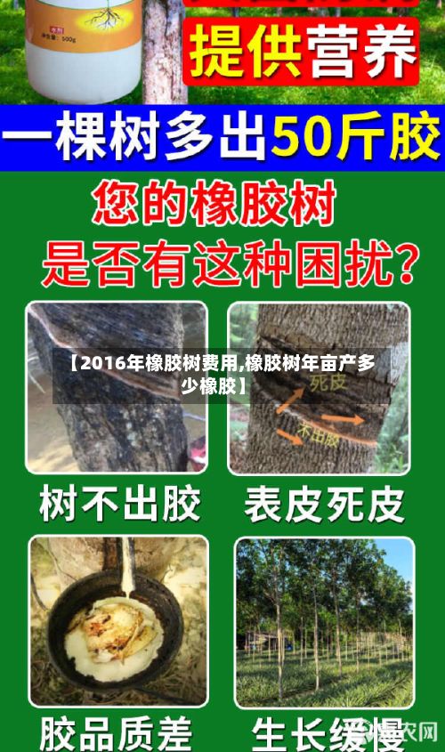 【2016年橡胶树费用,橡胶树年亩产多少橡胶】